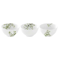Easy Life Ensemble de 3 bols en porcelaine de diamètre 9,5 cm chacun NATURA> Nature|Services De Table En Porcelaine